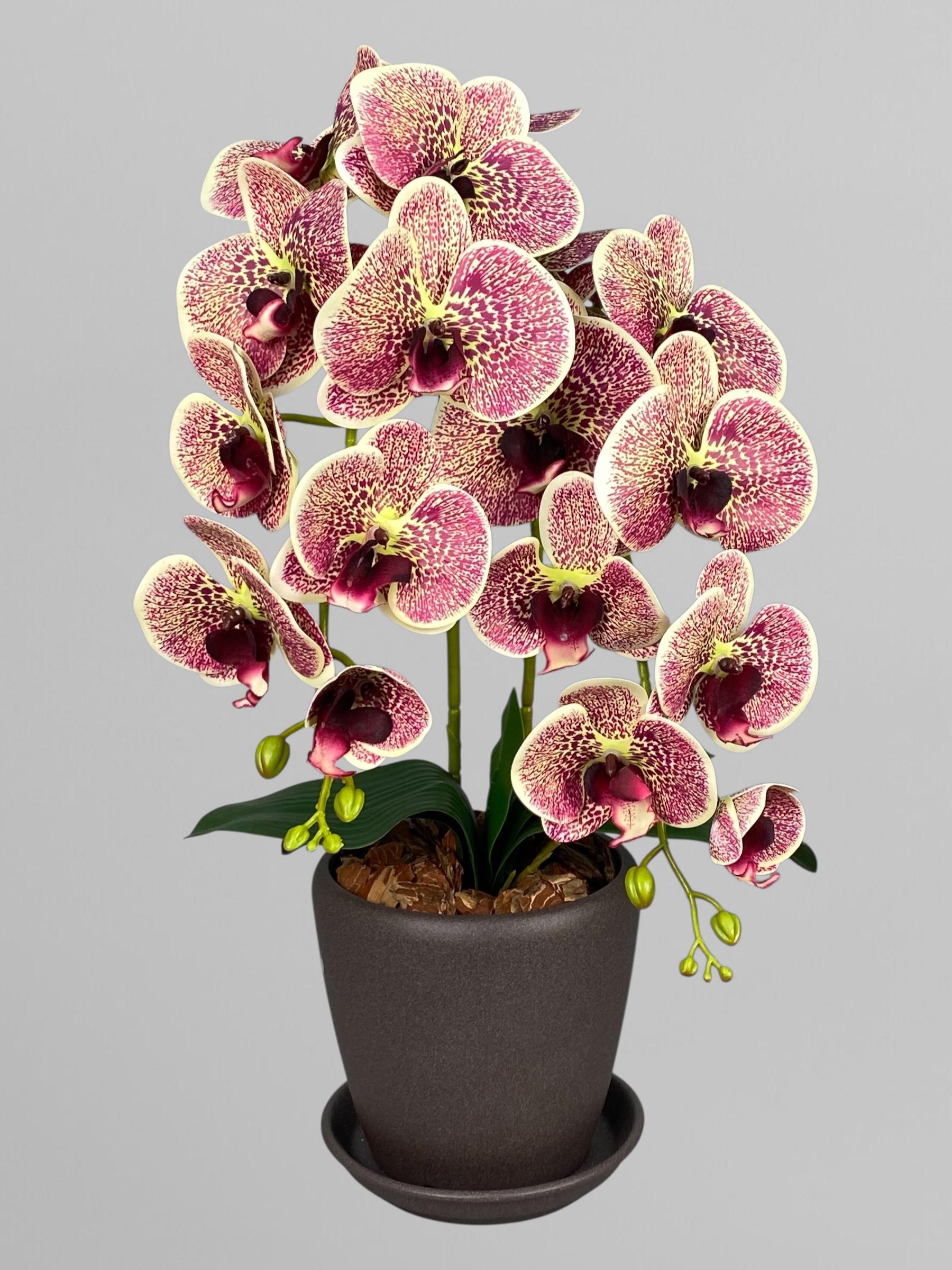 Композиция из латексных орхидей на 2 веточки в керамическом кашпо 55 см Тигрово-бордовый (А272)
