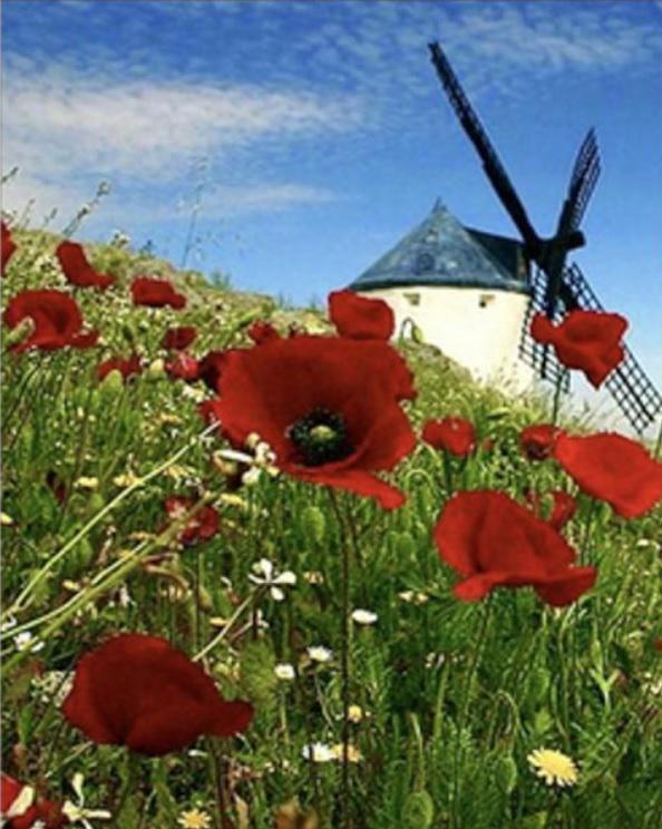 Набір для творчості алмазна картина Strateg Млин HEG86061 30x40 см (MTT-174733)