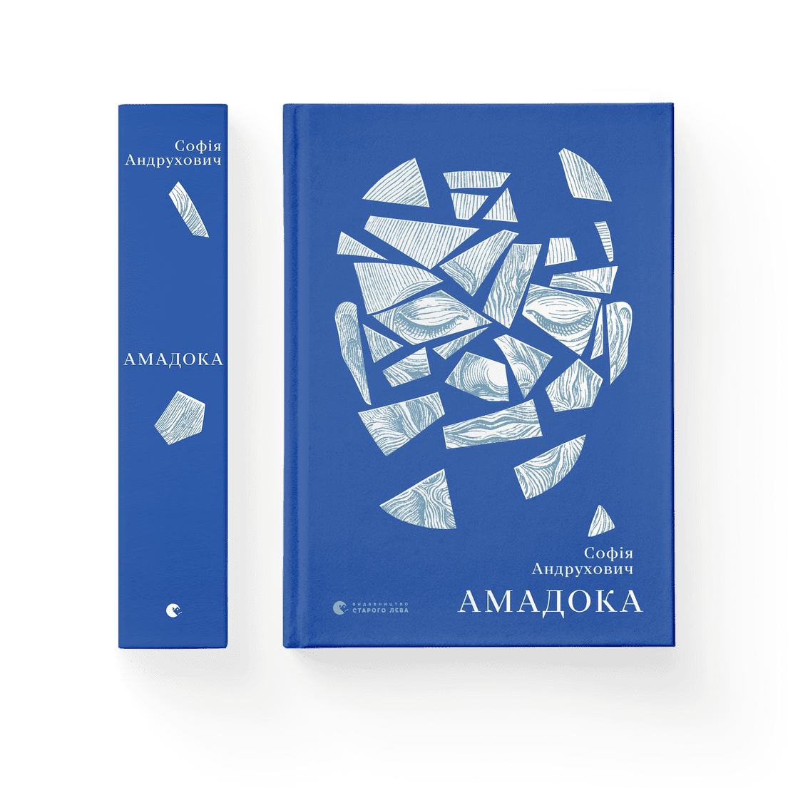Книга "Амадока" София Андрухович ВСЛ (9786176796299)