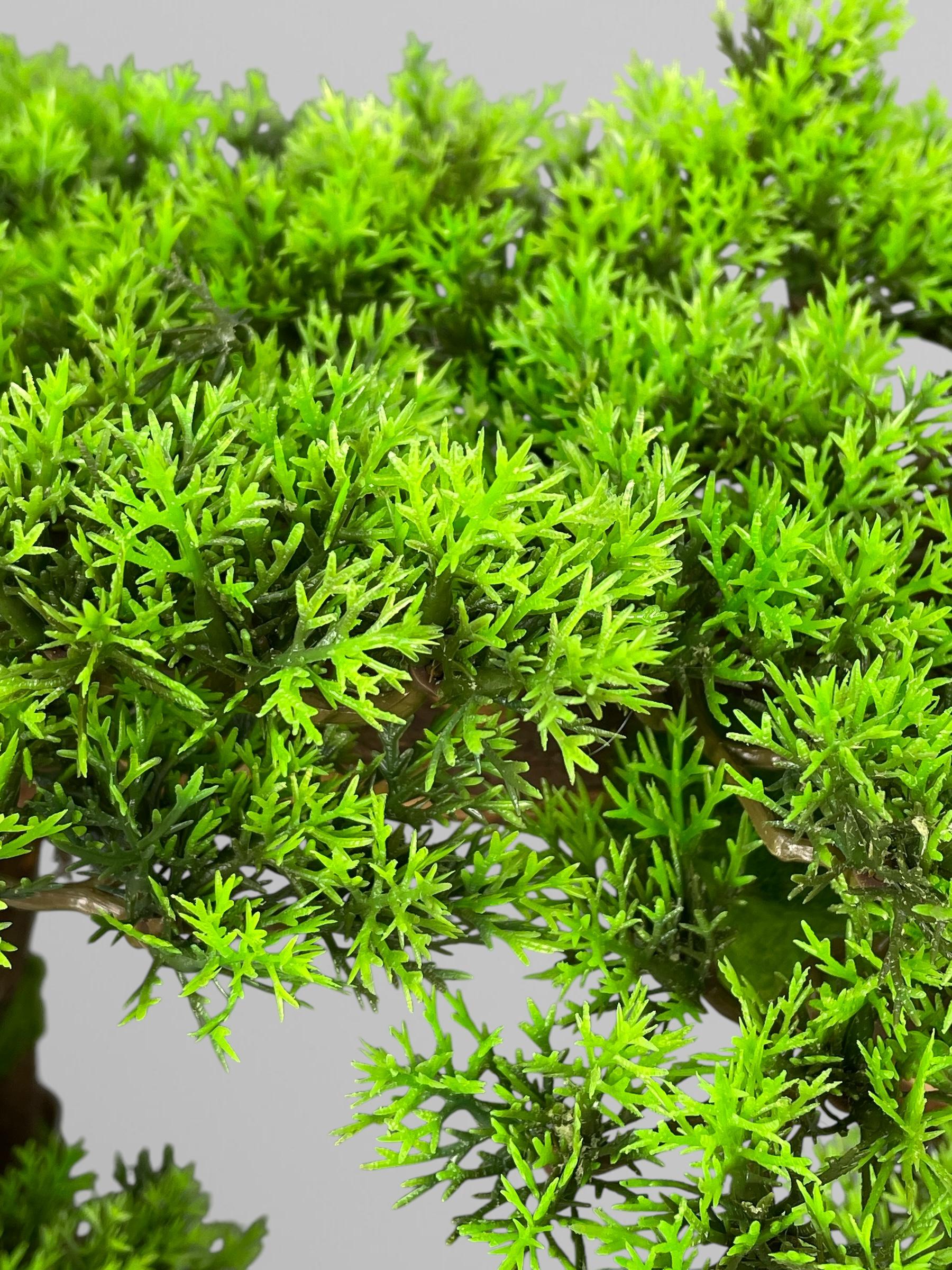 Бонсай 50 см Зеленый (Б006) - фото 5 Бонсай 50 см Зеленый (Б006) - фото 5