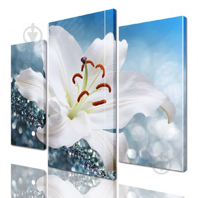 Модульная картина ArtStar цветы ADFL0185 размер 150 х 180 см