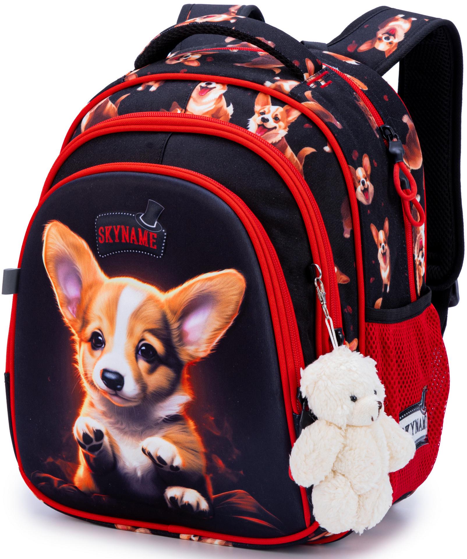 Школьный рюкзак Winner SkyName (R2-213)