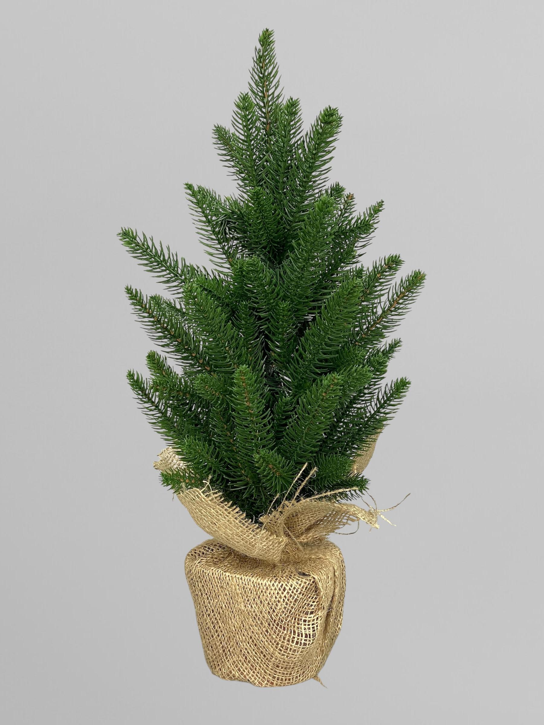 Искусственная елка литая Classic в горшке с мешковиной 50 см Зеленый (Н01008)