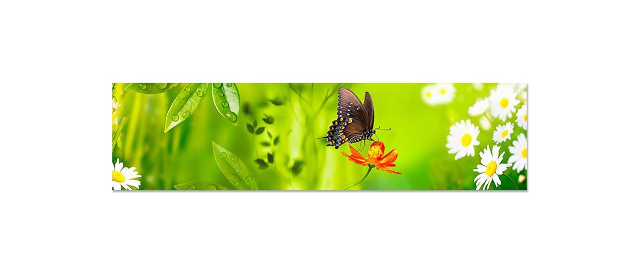 Наклейка виниловая на кухню Zatarga Бабочка 02 650х2500 мм (1304776370)