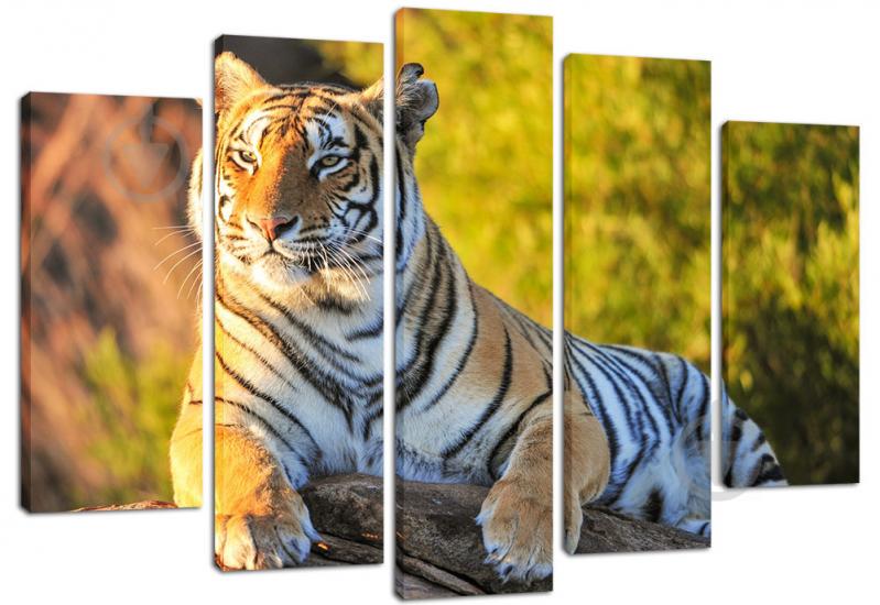 Модульная картина из 5 частей Декор Карпаты 120х80 см (PLM5 109) Модульная картина из 5 частей Декор Карпаты 120х80 см (PLM5 109)