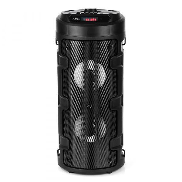 Акустическая система Media-Tech MT3165 Black (1696061)
