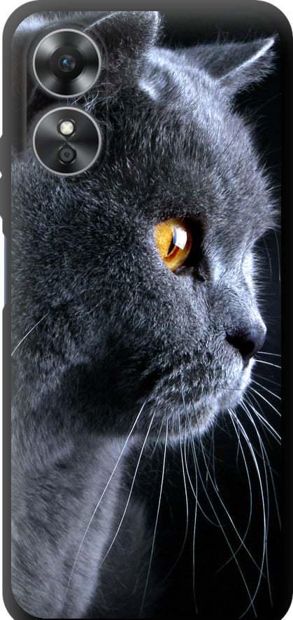 Чехол на Oppo A17 Красивый кот (3038b-2954-42517)