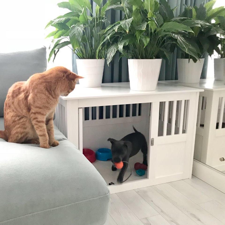 Будка для собаки из дерева Пиньйос Зефир (БДК-000620) - фото 9 Будка для собаки из дерева Пиньйос Зефир (БДК-000620) - фото 9