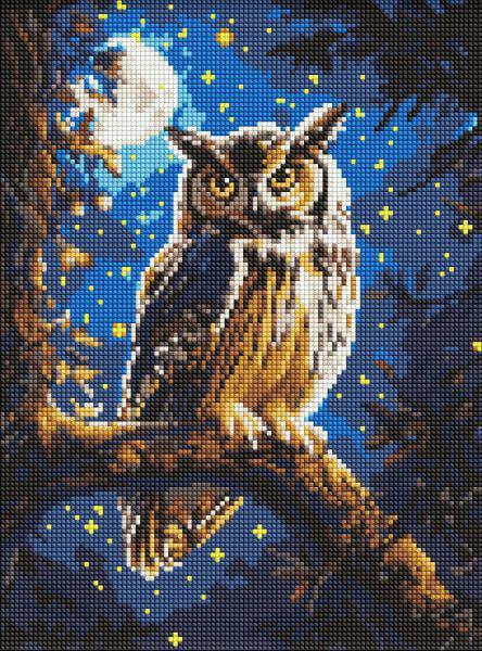 Алмазная мозаика Ideyka Ночная сова с голограммными стразами AB 30x40 см (Id-AMO8160)