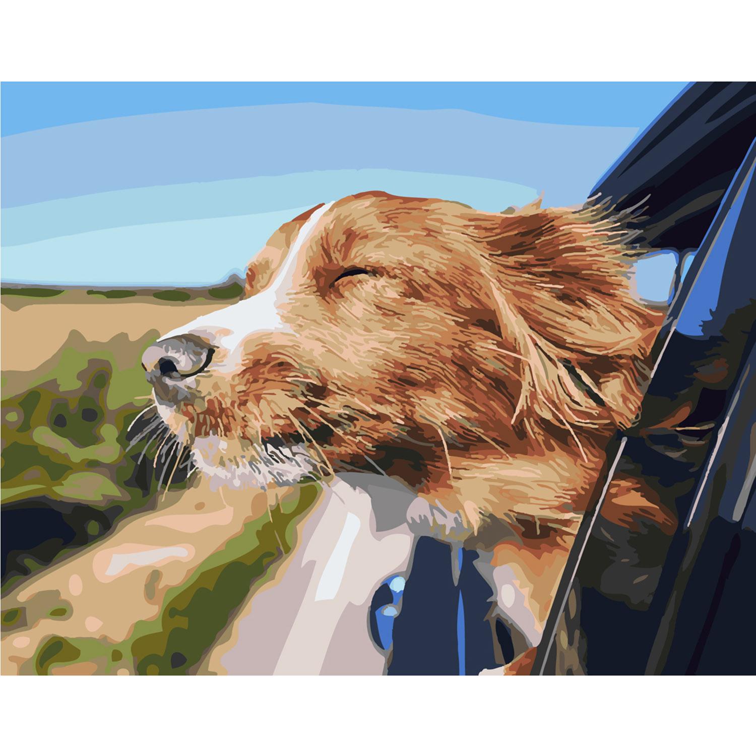 Картина по номерам Strateg Ощущение свободы 40х50 см (SY6347)