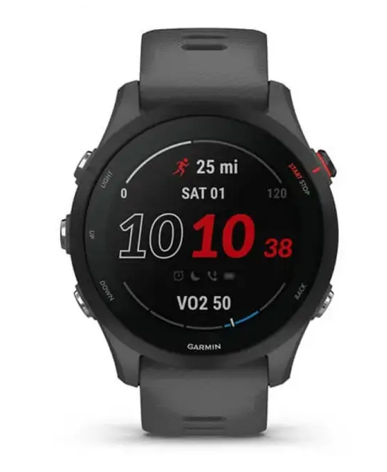 Смарт-годинник Garmin Forerunner 255 Slate Gray (010-02641-00/10)