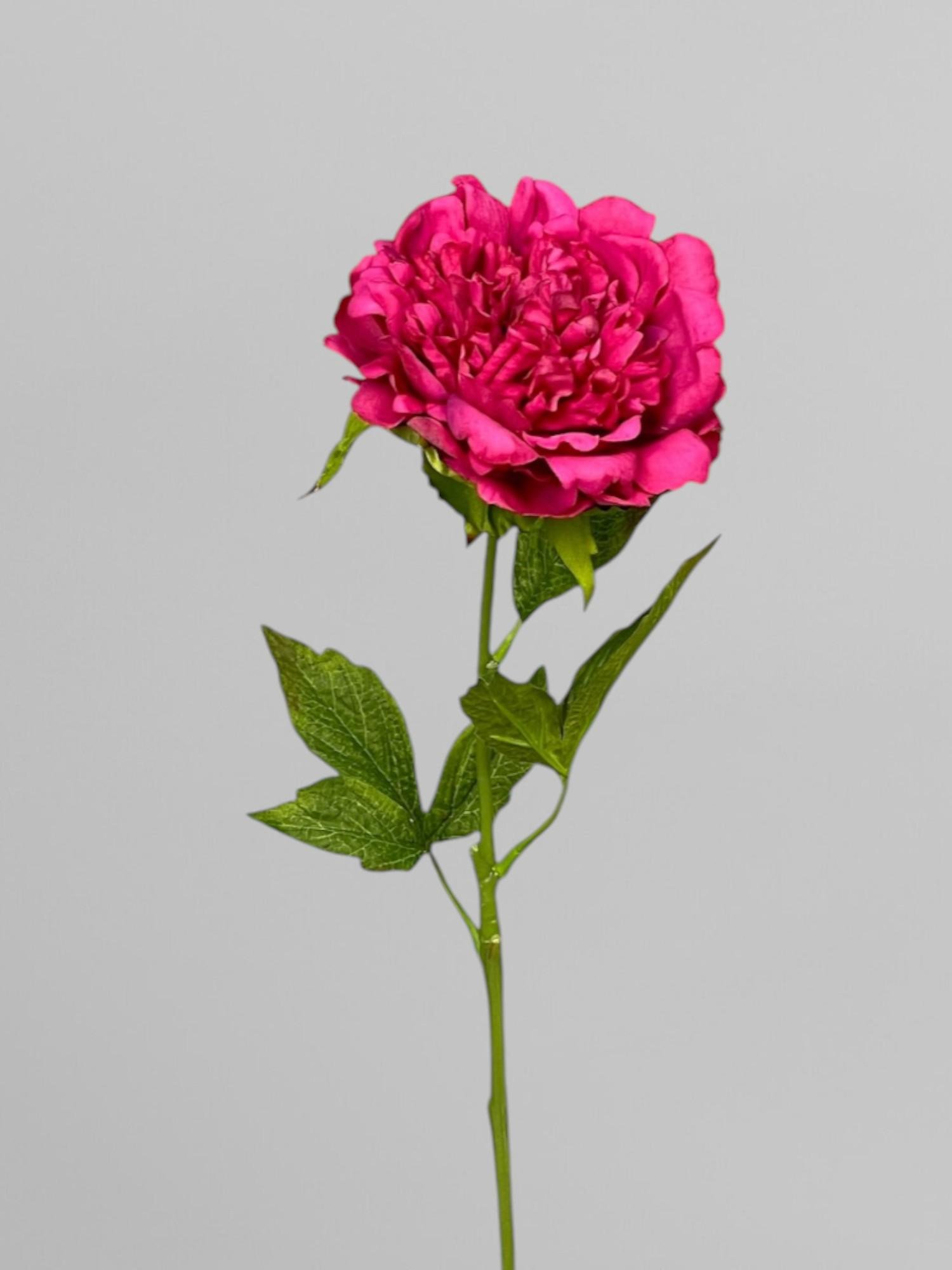 Искусственный пион terry на стебле для композиций 59 см Малиновый (К05013)