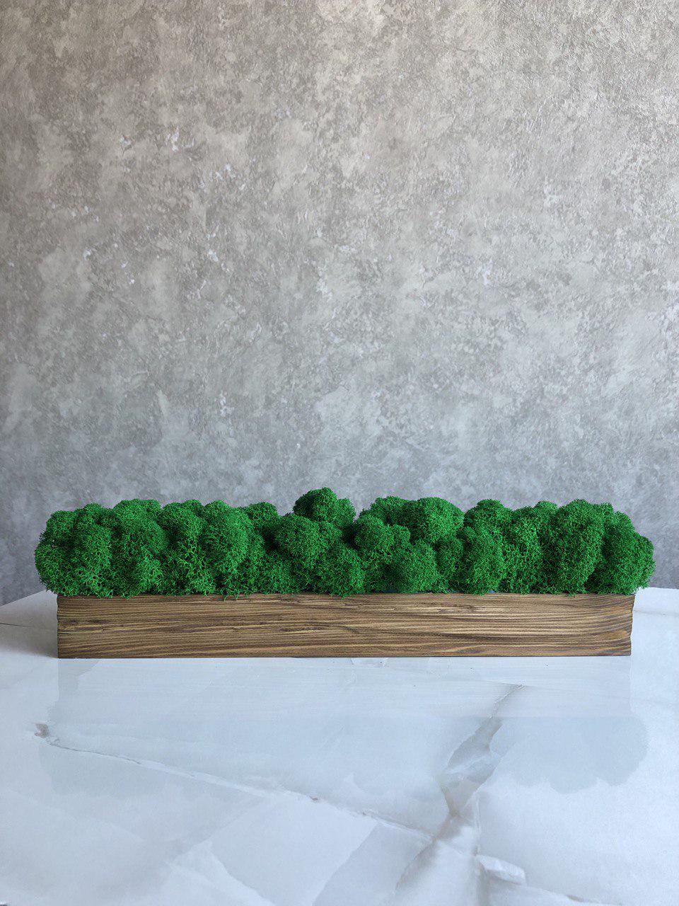 Кашпо из премиального стабилизированного мха 35 см (33165796)