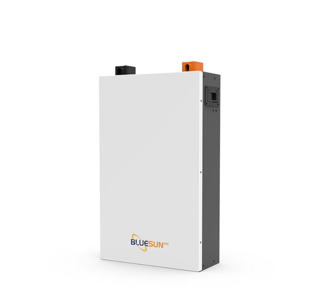 Аккумулятор In-Therm IN-THERM/BLUESUN LiFePO4 48 V 100 Ah 4800 Wh