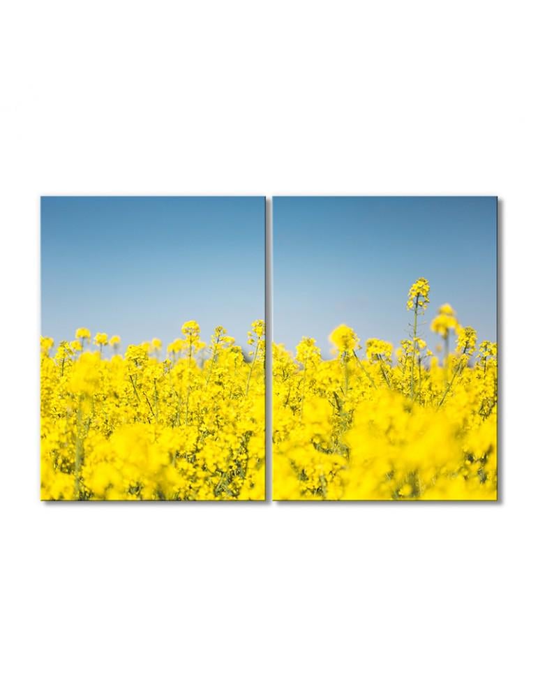 Картина модульная Рапсовое поле 2 модуля 120x180 см