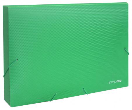 Папка-бокс Economix на резинках А4 60 мм пластик Зеленый (E31405-04)