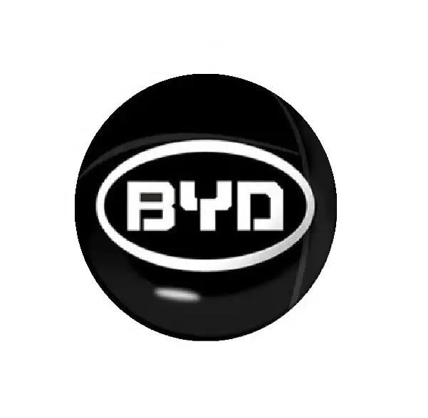 Логотип для автоключа BYD LG1