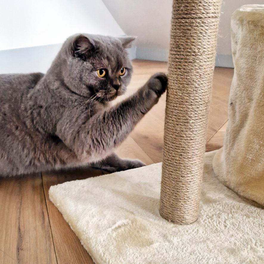 Будиночок котячий Ecarla дерев'яний Бежевий - фото 7