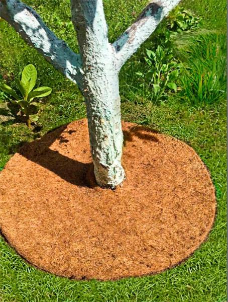 Круг приствольный кокосовый для мульчирования 60 см - фото 3