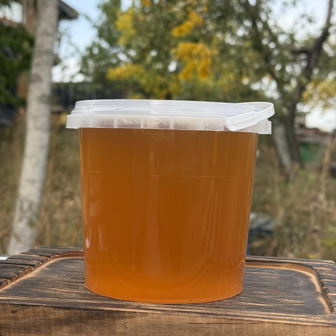 Мед Луговое разнотравье из стационарной пасеки 1 л/1400 г 2025 г. (2784993869)