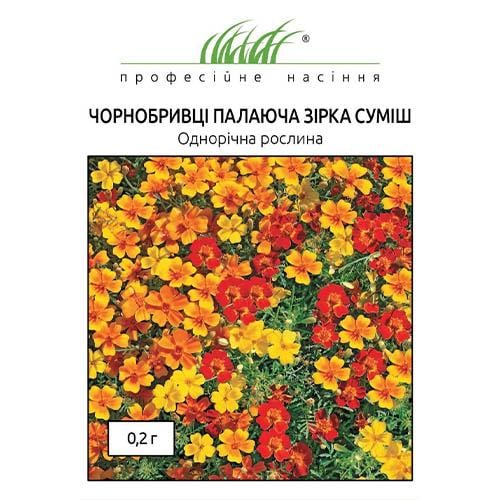 Семена Бархатцы Горящая звезда смесь Florium - фото 2 Семена Бархатцы Горящая звезда смесь Florium - фото 2