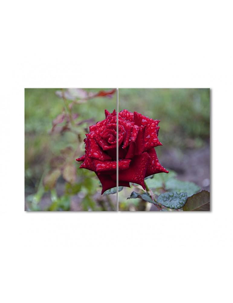 Картина модульная Пурпурная роза в росе 2 модуля 60x90 см