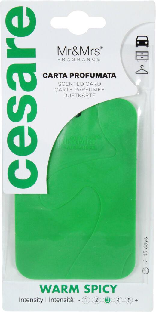 Ароматизатор Mr&Mrs Cesare Scented Cards Green Warm Spicy (0315077) - фото 1