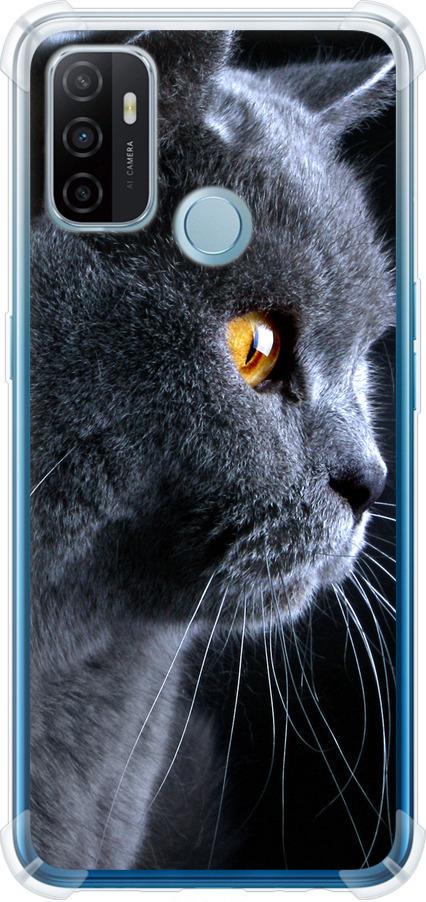 Чехол на Oppo A53 Красивый кот (3038sp-568-42517)