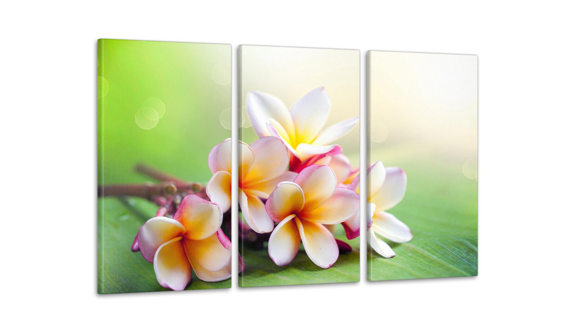 Модульная картина Цветы Орхидея 53x100 см (Art-71_3А)