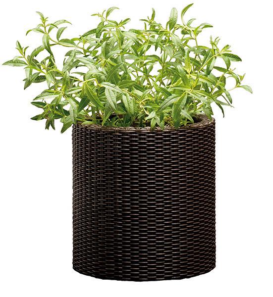 Горщик для квітів Keter Cylinder Planter Small 7 л Коричневий (7290103664183)