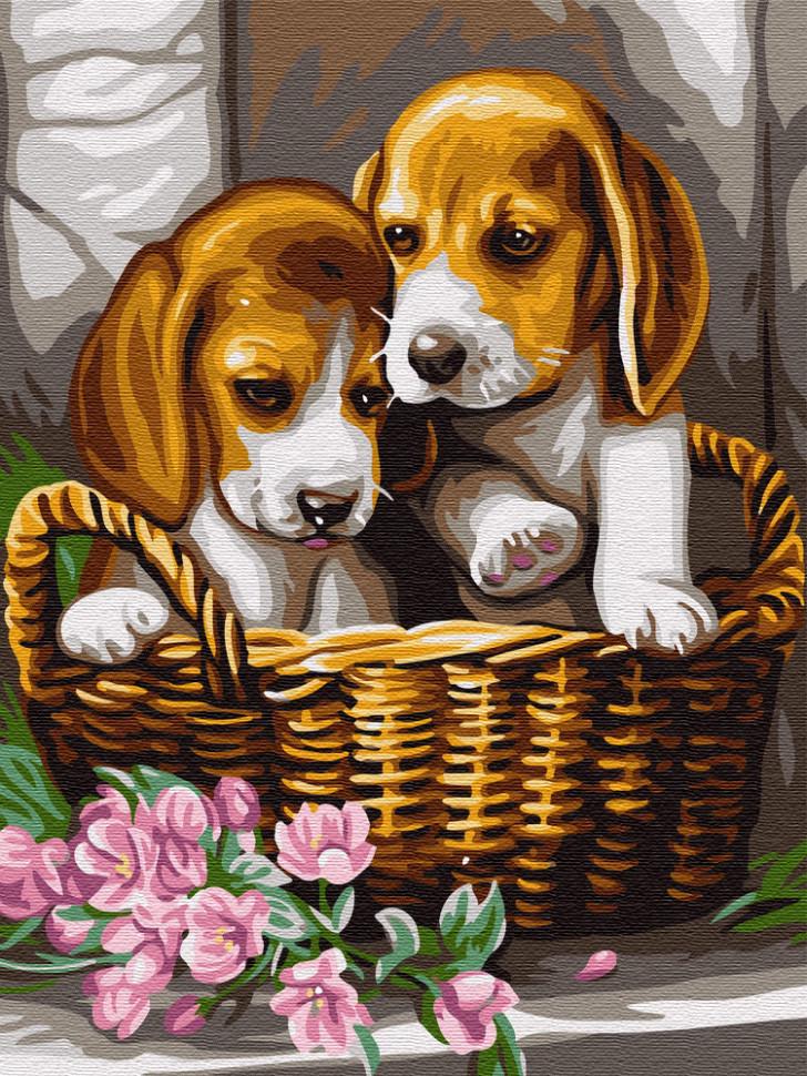 Картина по номерам Brushme "Парочка в корзине" (GX29695)