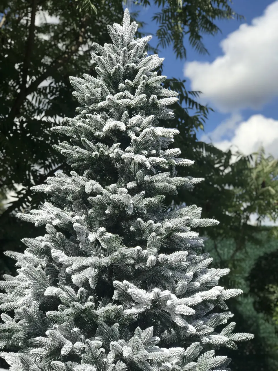 Елка искусственная HVOYA литая Classic Mix заснеженная 220 см (210/220/GS) - фото 2 Елка искусственная HVOYA литая Classic Mix заснеженная 220 см (210/220/GS) - фото 2