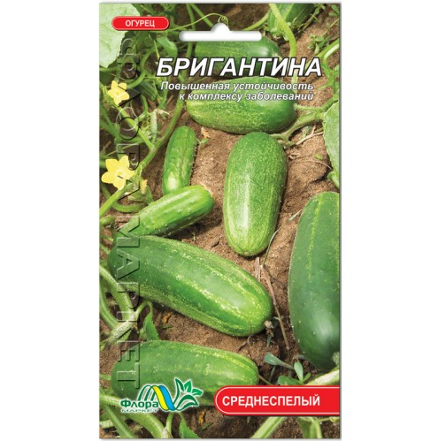 Семена огурца Бригантина среднеспелый 1 г (26302) Семена огурца Бригантина среднеспелый 1 г (26302)