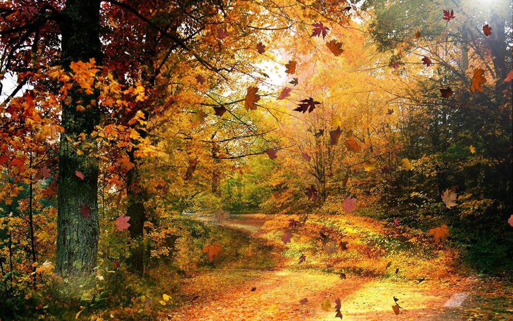 Картина Природа PR023 55х85 см