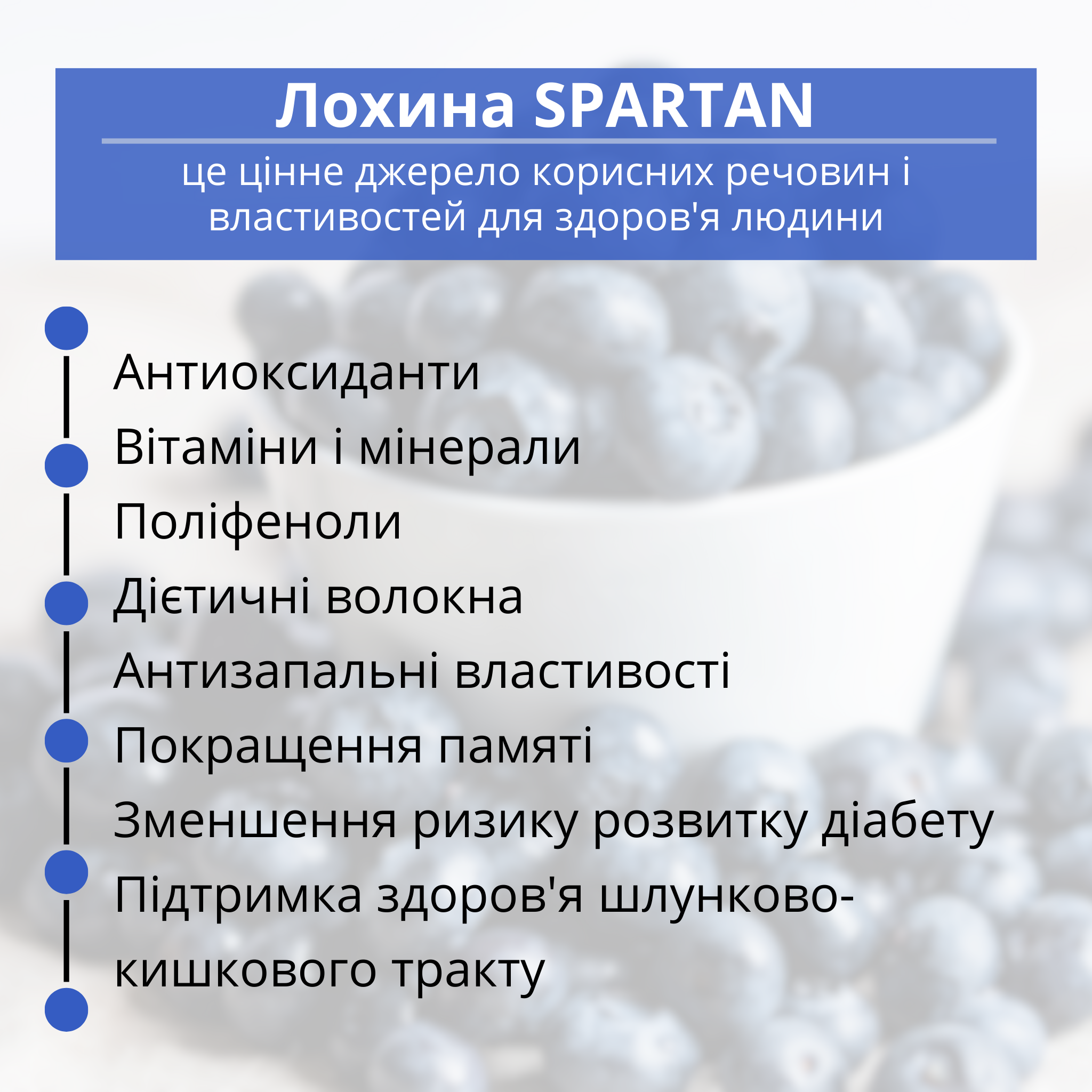 Саджанець лохини сорту Spartan 2 роки 45-60 см (00248-05) - фото 5