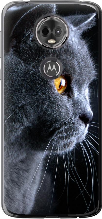 Чехол на Motorola Moto E5 Plus Красивый кот (3038u-1412-42517) - фото 1