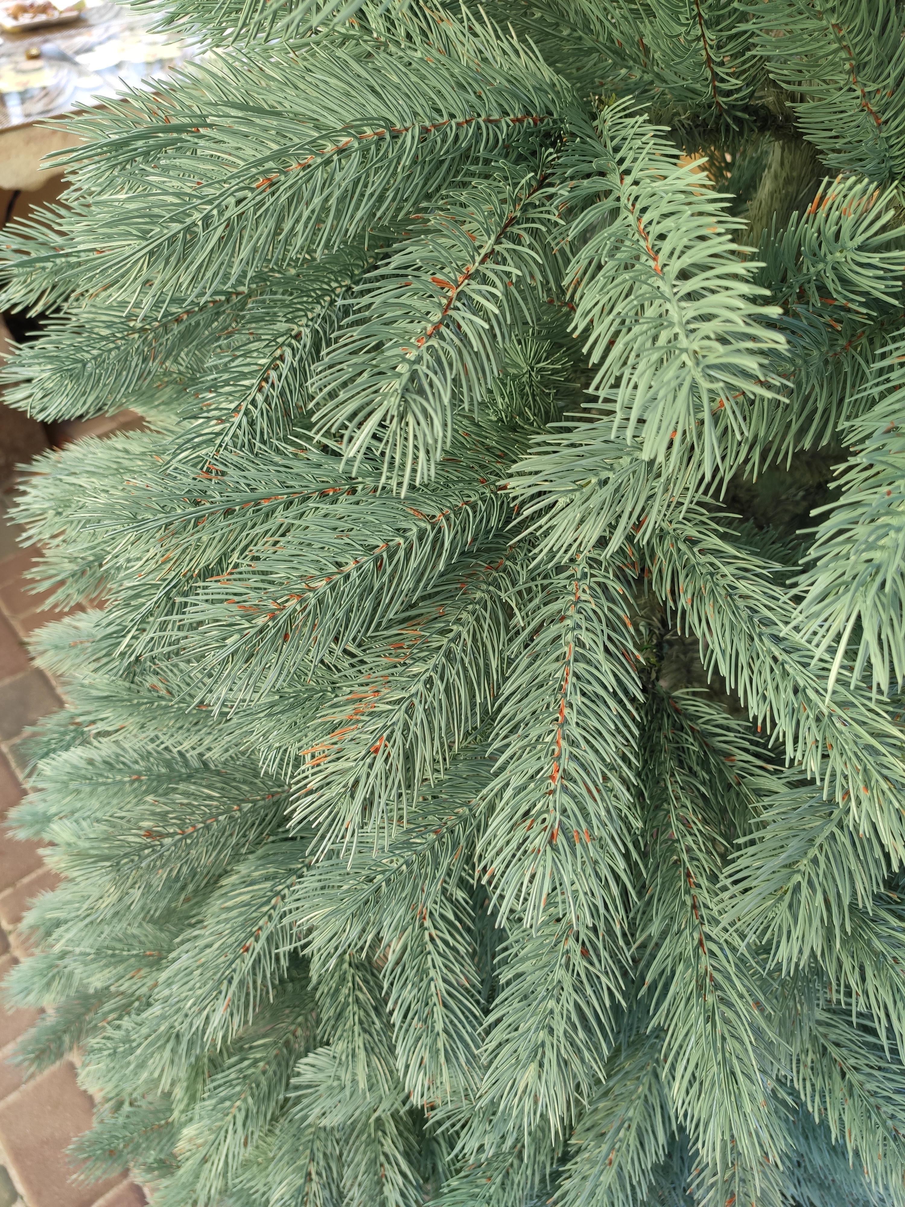 Штучна ялинка Буковельська лита 2,1 м Зелений (30316068) - фото 3