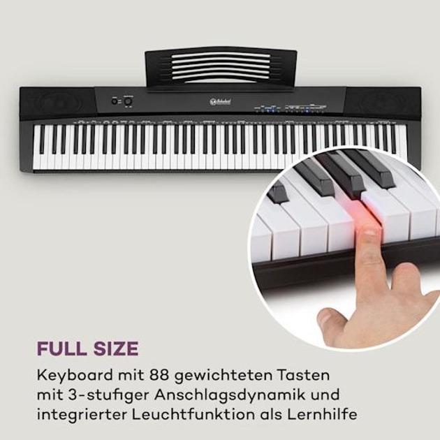 Синтезатор Schubert Preludio Keyboard (10034897) - фото 7