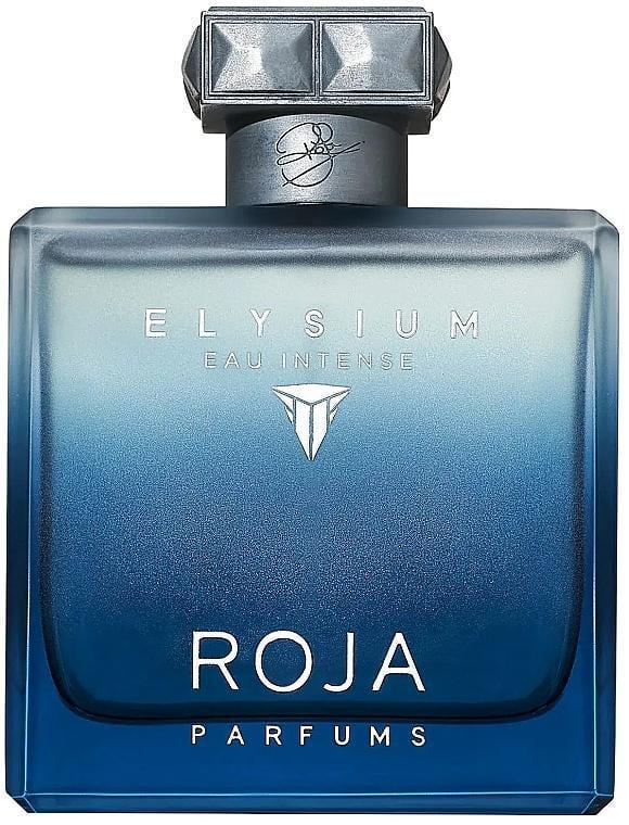 Парфюмированная вода для мужчин Roja Elysium Eau Intense 100 мл в транспортной упаковке (383837)
