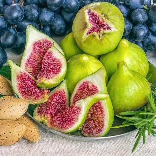Инжир Кордеро 1 шт. (38297394)