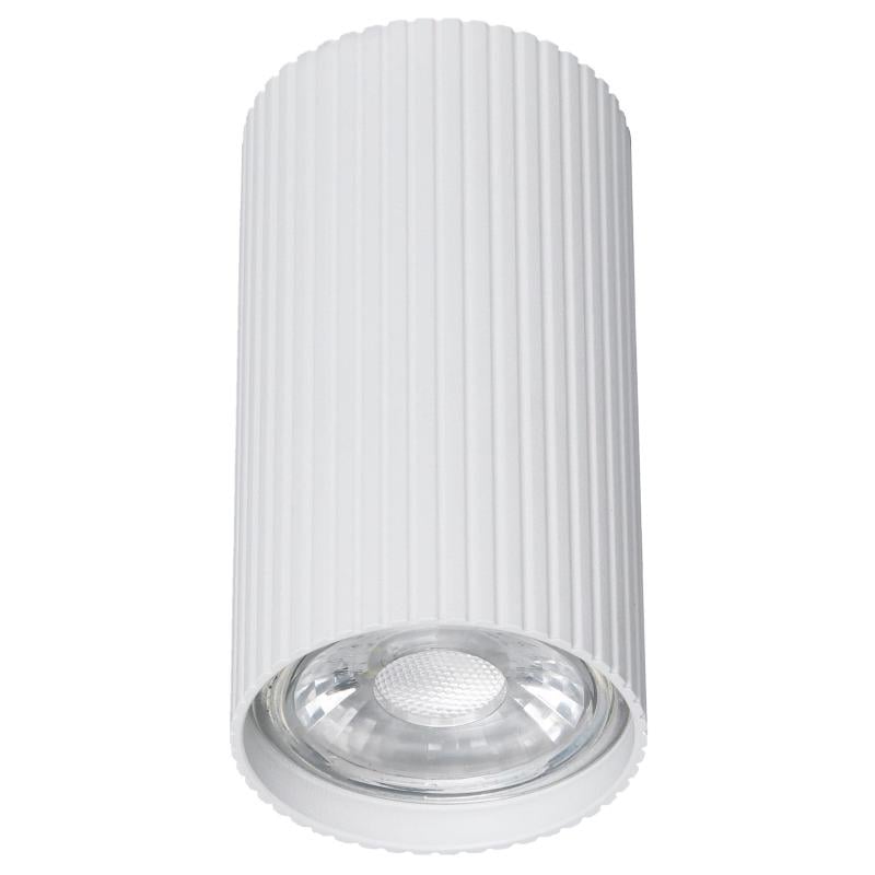 Точковий світильник TK Lighting 10023 Tune S White (15195556)