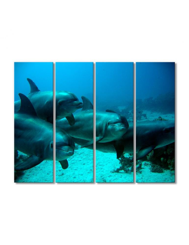 Картина модульная Семейство дельфинов 4 модуля 60x90 см