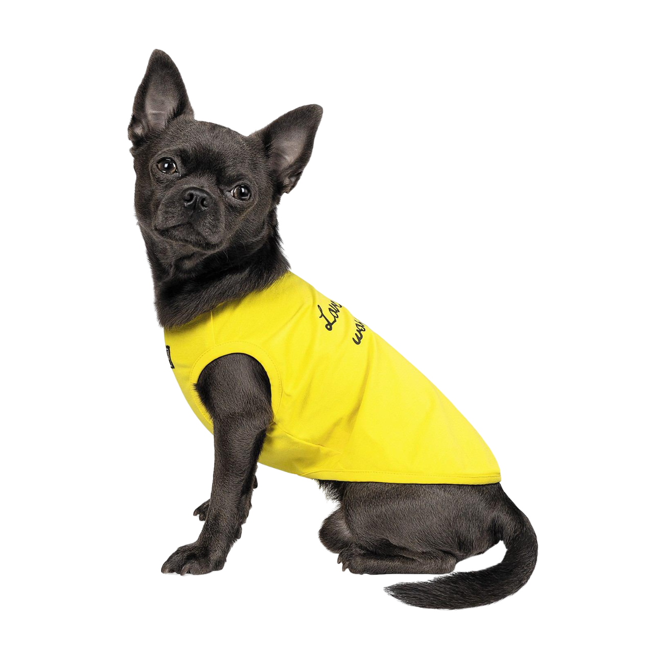 Борцовка Pet Fashion Puppy XХS Желтый (PR242012)