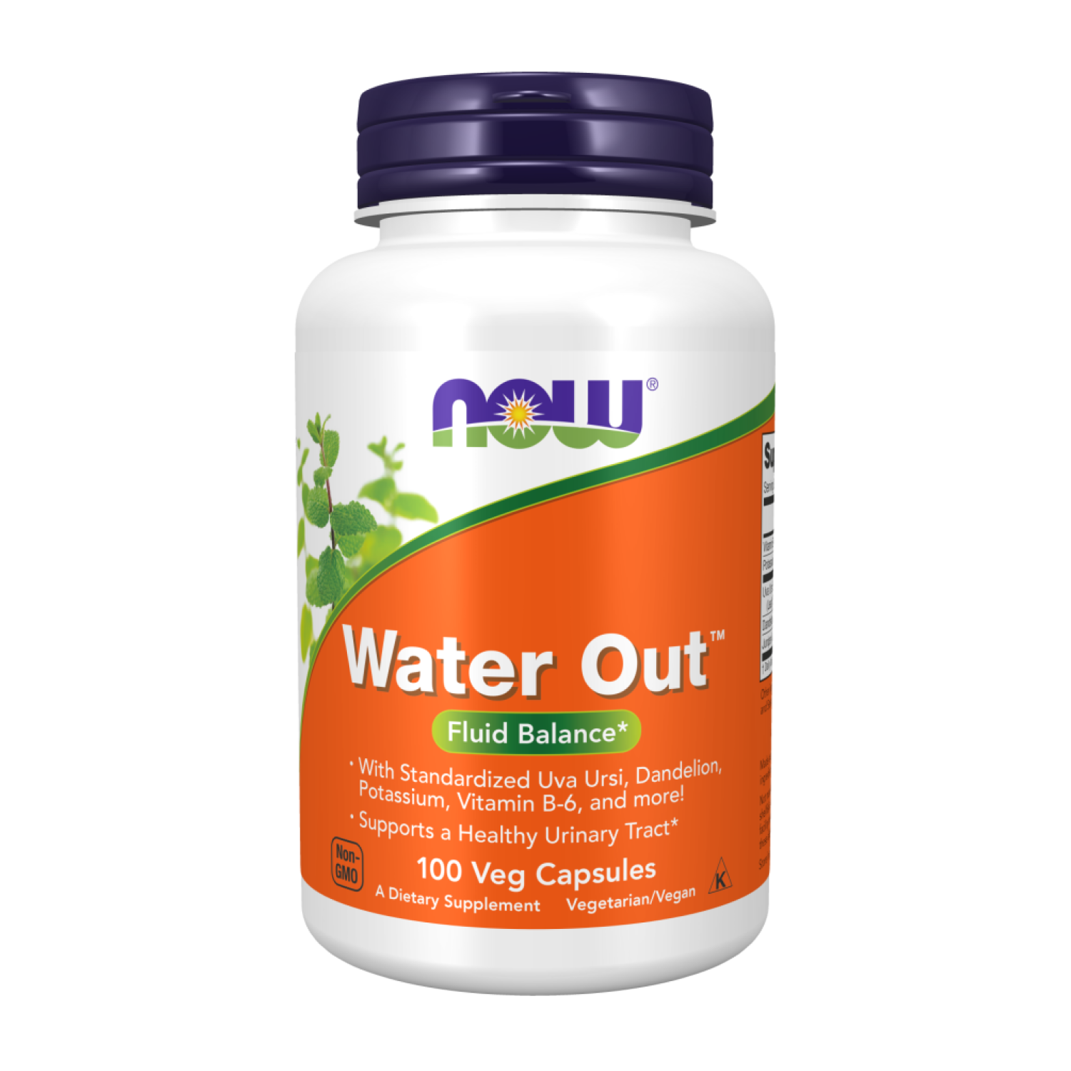 Добавка Now Foods Баланс жидкости 100 капсул (CO003447)