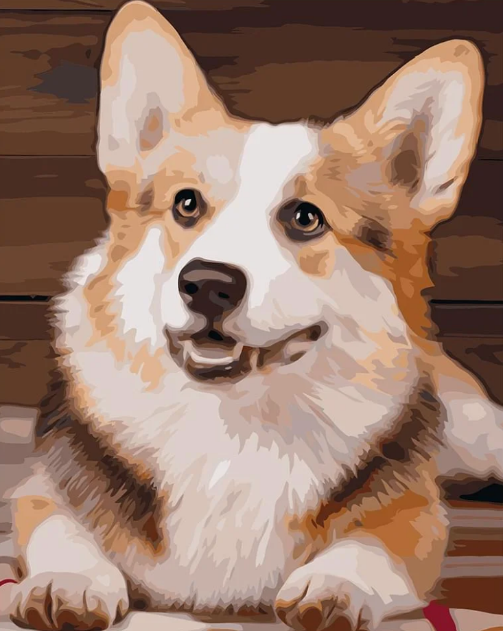 Картина по номерам Strateg Премиум Милые корги с лаком и уровнем 40x50 см (VA-1750)