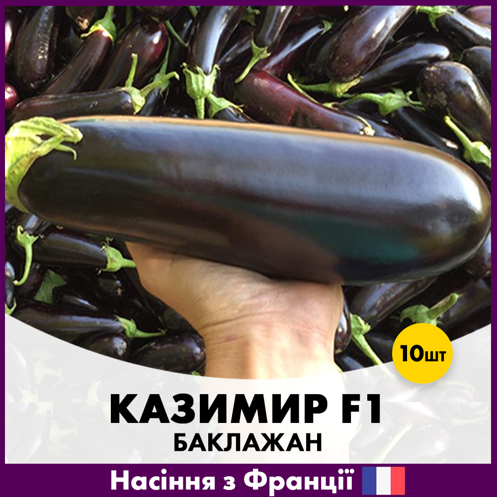 Семена баклажана Clause Казимир F1 10 шт. (R50201)