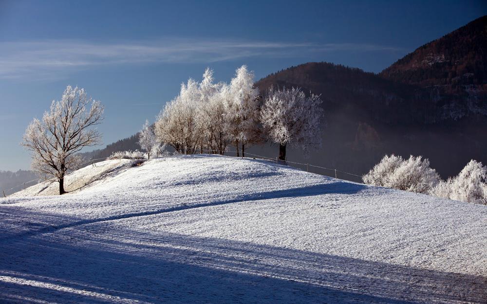 Картина Природа  PR046 35х55 см