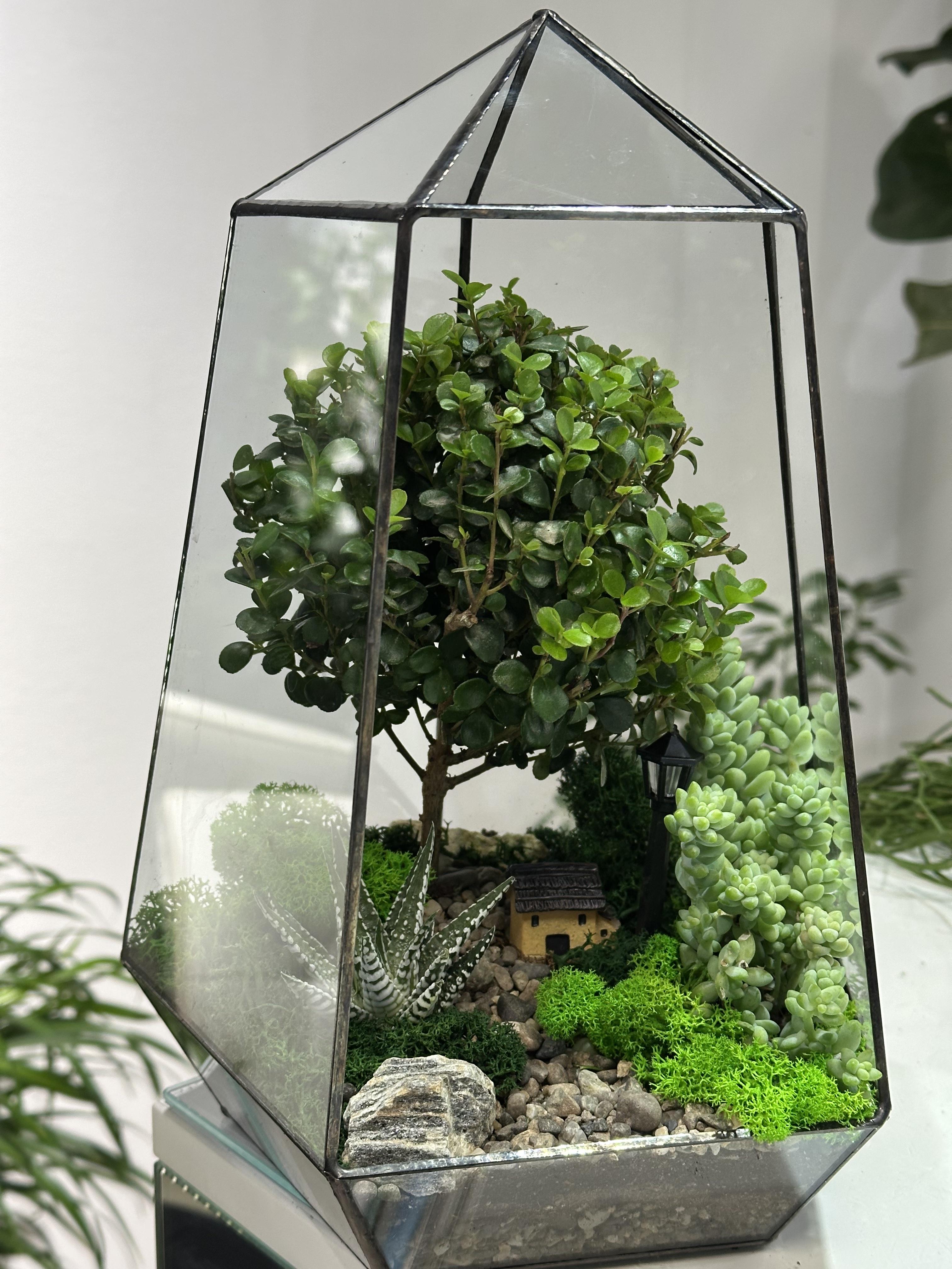 Флораріум з деревом Найкращий подарунок 30 см (30091011)