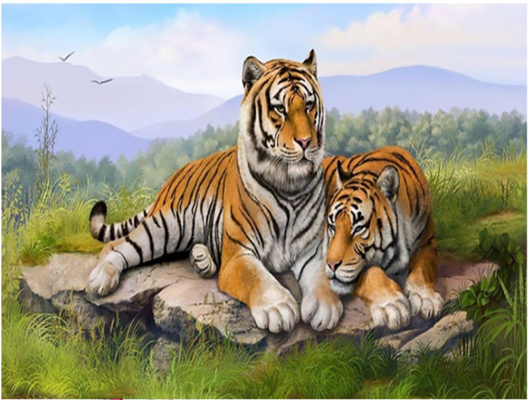 Алмазная мозаика Cornix Art AY44 40x30 см (4308)
