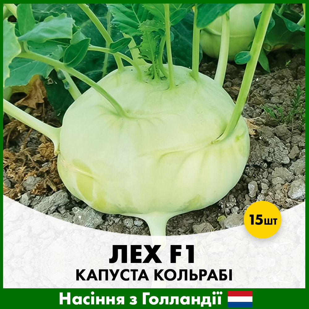 Насіння капусти кольрабі Rijk Zwaan Лех F1 15 шт. (R50203)